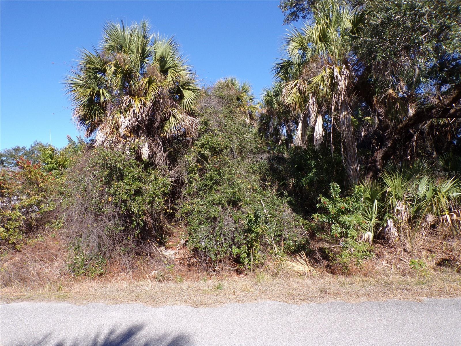 This lot is on a quiet street, and is the highly desired Flood Zone X, this means no flood insurance required. This lot would be a great place to build your dream home and retire or raise your family. Less than 5 miles to I75 makes this location an easy commute to almost anywhere, and only 22 miles to Chadwick Park Englewood Beach with amazing sunsets, 5 miles to Port Charlotte Town Center and only 17 miles Punta Gorda Historic district and waterfront park with lots of shopping and dining options. Tampa Bay Rays spring training and the fairgrounds are just minutes away, also multiple golf courses and some of the best boating and fishing in all of Florida. Red Soxs, Orioles, Twins and Braves spring training all within an hour’s drive. Buyer and buyers’ reps are responsible for determining environmental conditions and endangered species restrictions. This lot is priced to sell so please call for availability! This lot is at a great price point for the investor call today.