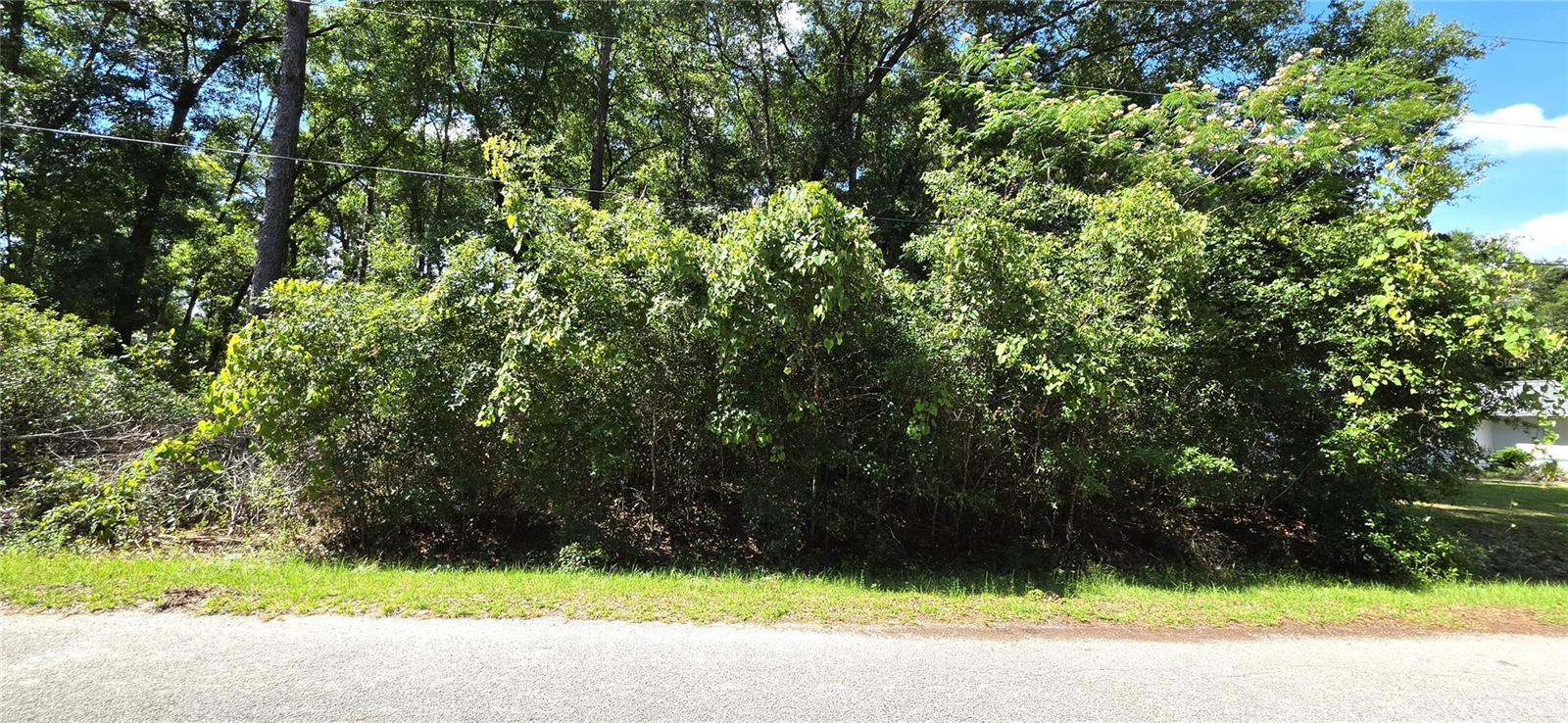 Build your dream home or invest in one of Ocala's growing areas! This vacant lot is located in the desirable Ocala Park Estates, offering a convenient location less than 10 minutes from shopping, dining, and the renowned World Equestrian Center. With the adjacent lot also available for purchase, this is a unique opportunity to expand your homesite or investment potential.