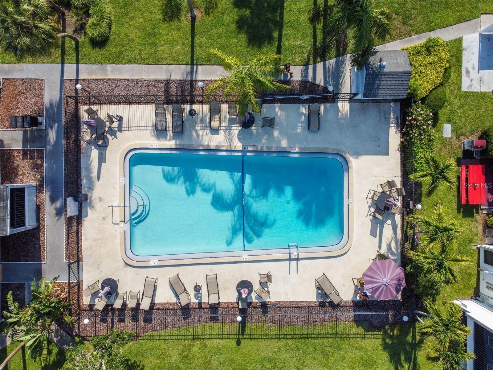 PALMS OF TARPON SPGS THE CONDO - Residential