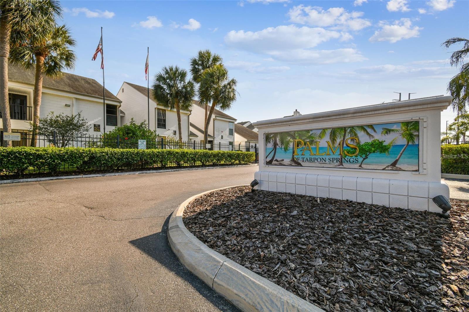 PALMS OF TARPON SPGS THE CONDO - Residential