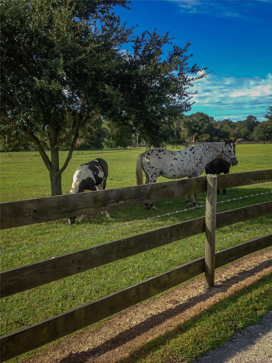 NOT IN SUBDIVISION - Residential