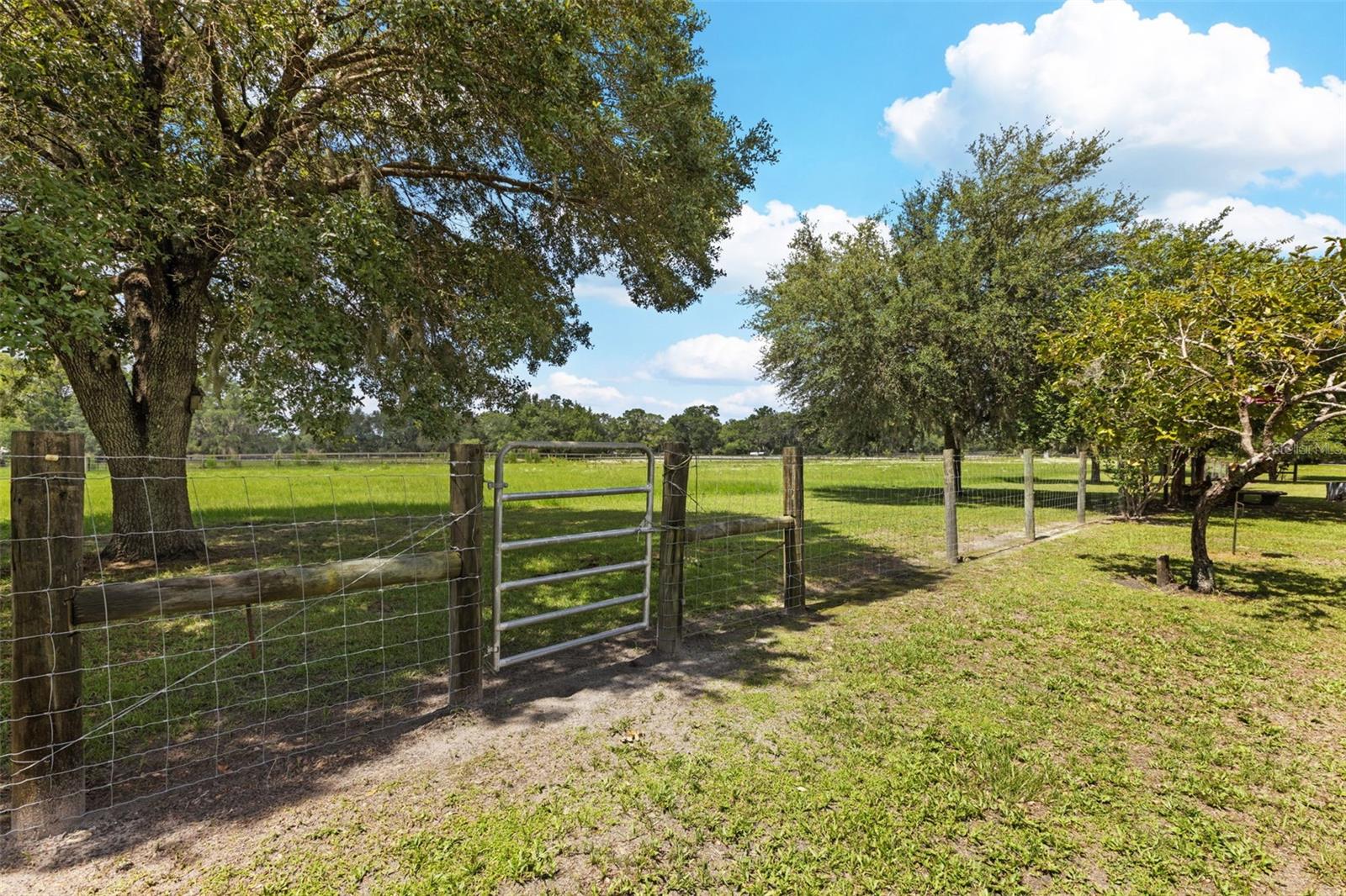 NOT IN SUBDIVISION - Residential