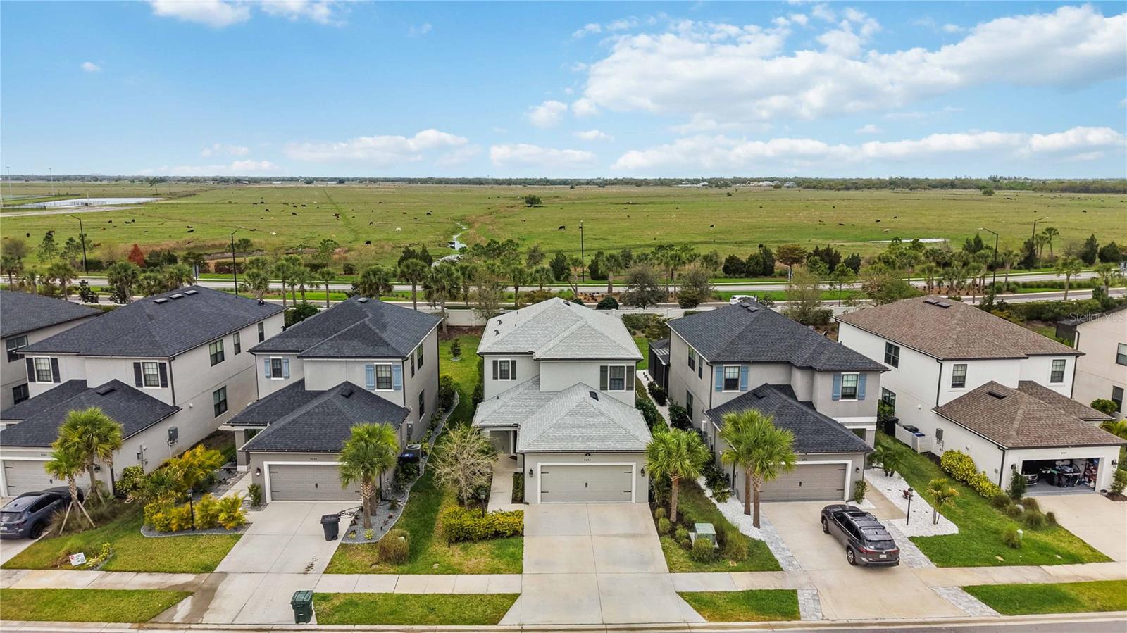 SKYE RANCH - Residential