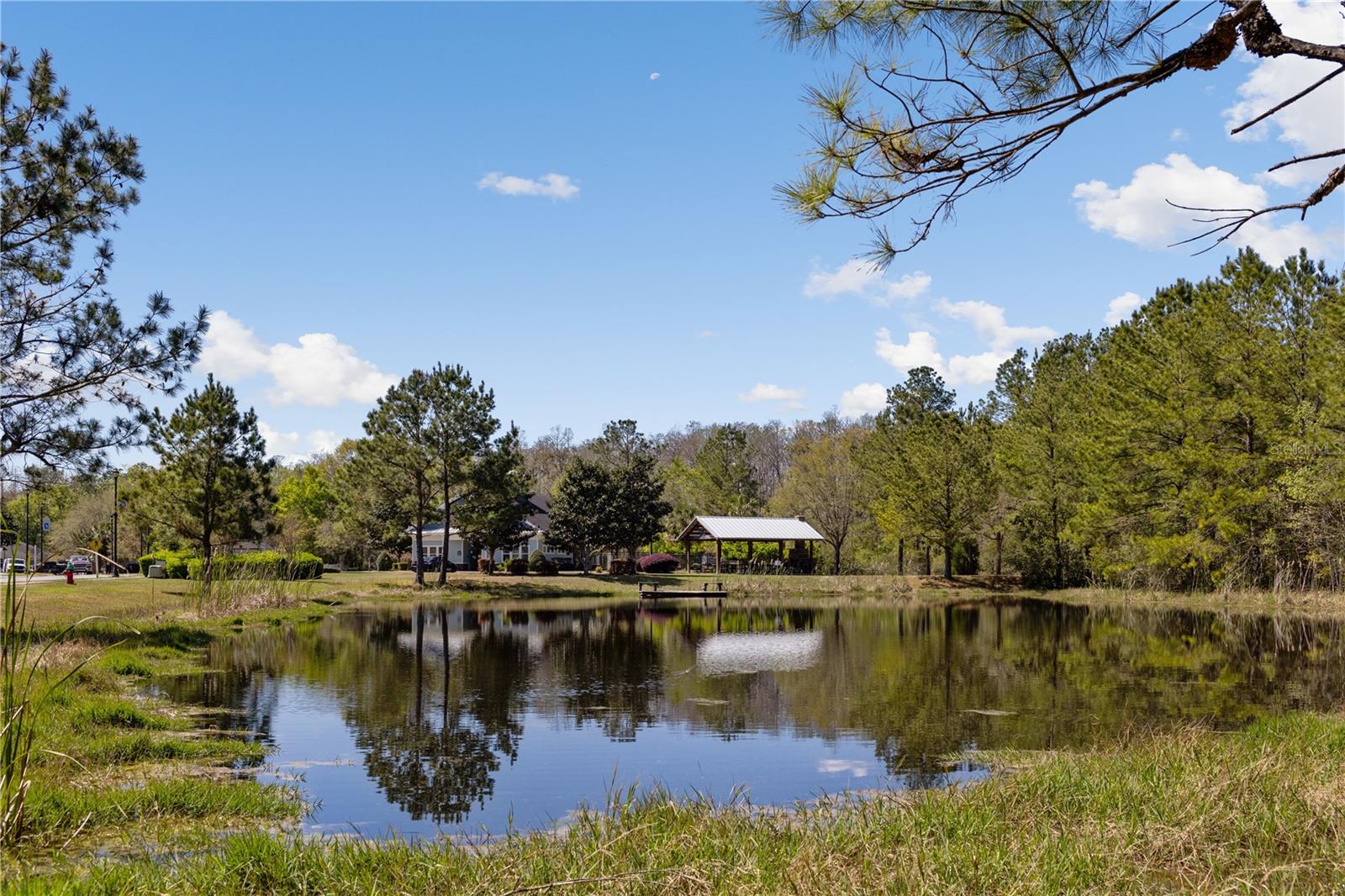 PRESERVE/LAUREL LAKE - Residential