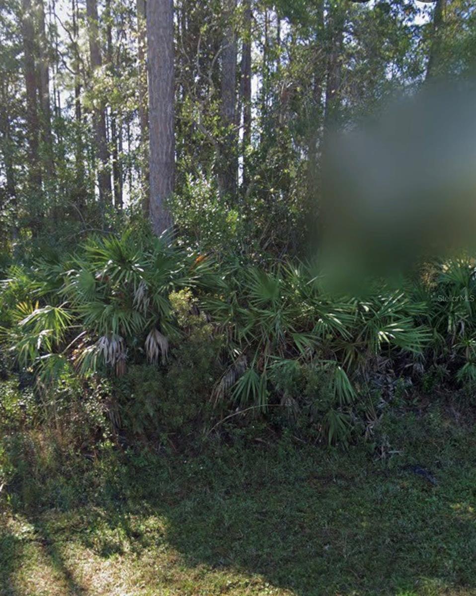 PALM COAST SEC 33 - Land
