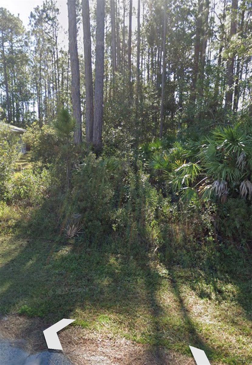 Build your dream home on this desirable homesite at 31 Red Clover Lane in Palm Coast! Ideally situated just steps from Rymfire Elementary School, this lot offers exceptional convenience for families while still providing easy access to shopping, restaurants, medical facilities, parks, walking and biking trails, and beautiful Flagler County beaches. Located in a growing neighborhood of newer homes, this property is the perfect opportunity to build your custom home or invest in one of Palm Coast's most sought-after areas. Enjoy public water and sewer availability, no required build time, and quick access to major roadways for an easy commute. Don't miss your chance to own land in one of Palm Coast's fastest-growing communities!