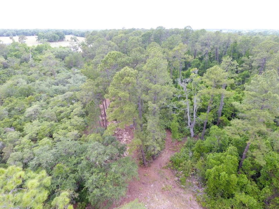 10 +/- ACRES Privately situated in Pomona Park, This Beautiful wooded 10 acre parcel in Putnam county offers the perfect blend of seclusion, nature, and recreational opportunity. The property is richly wooded with established trails throughout, treestands already in place, and abundant wildlife for outdoor enthusiasts to enjoy. A small springs runs along the back of the property, creating a peaceful nature estting that would be ideal for a private cabin or weekend retreat. Conveniently located just down the road From Crescent Lake and only minutes to the St John's River, This property offers some of the areas best fishing, Boating, and Outdoor recreation. LOOKING FOR PRIVACY? Adjacent 10 acre parcel is also available and can be purchased together (20 +/- Acres COMBINED). PROPERTY FEATURES TWO ENTY POINTS!