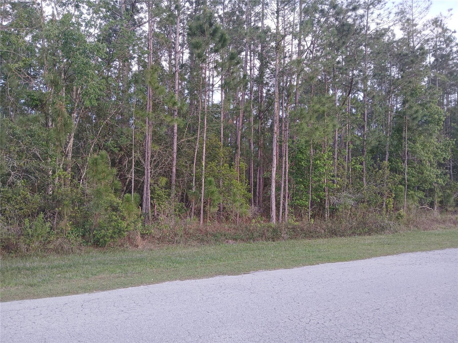 LUCKY WORLD ESTATES - Land