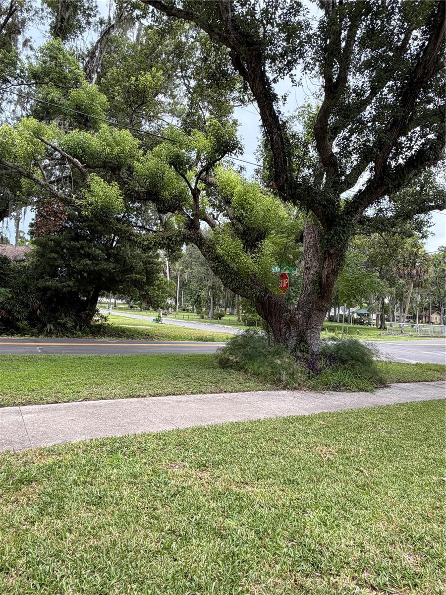 WASHINGTON PARK - Residential
