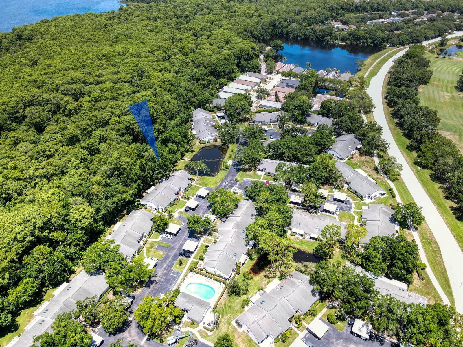 CLEARING THE - Residential