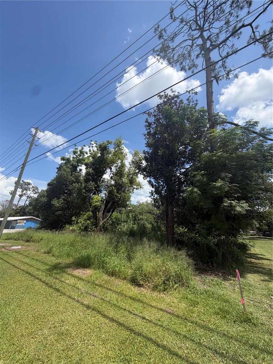 GROVELAND LITTLE ACRES BLK 03 W 21 FT BLK 04 - Land