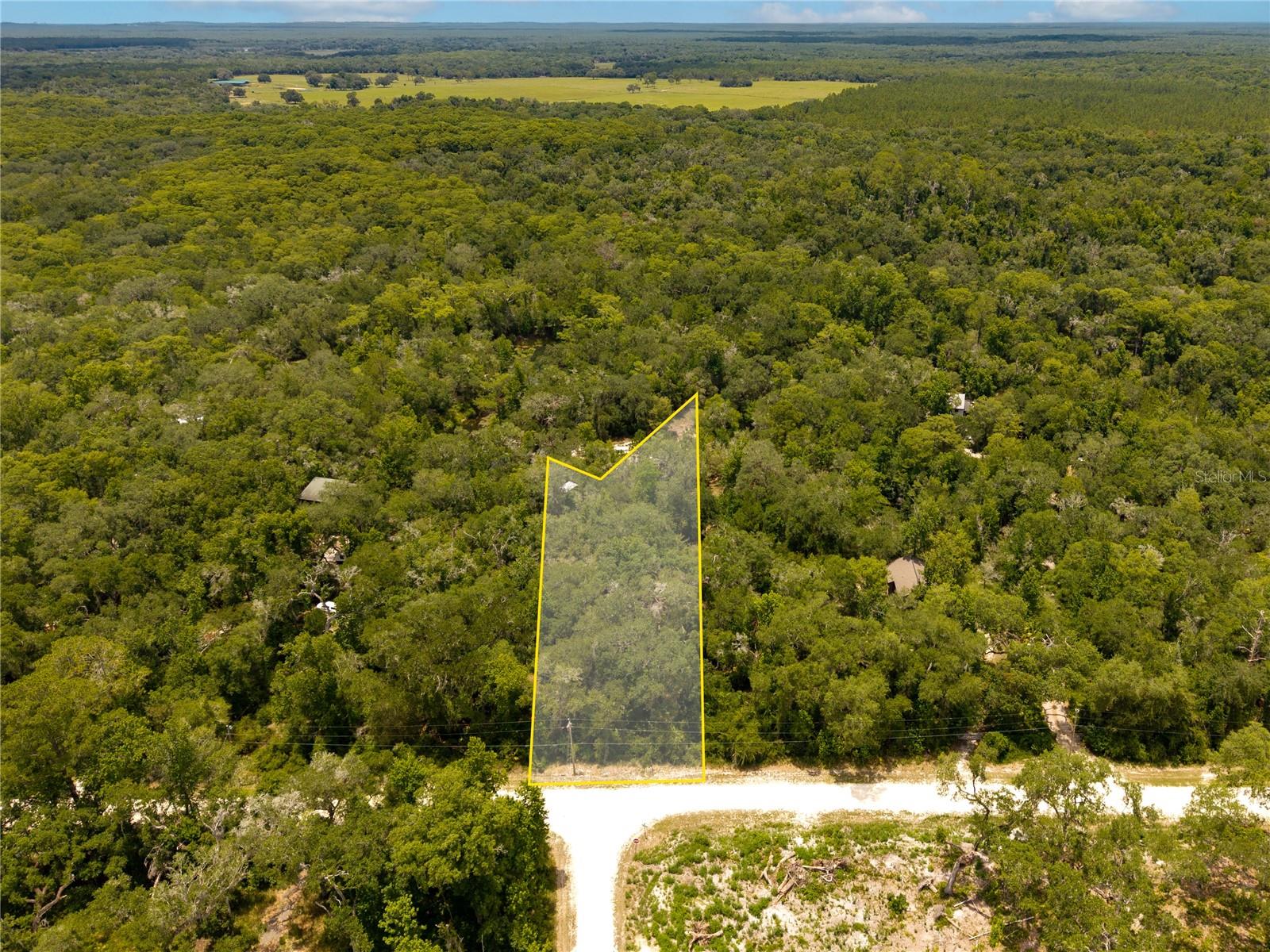 RIDGE MANOR ESTATE - Land