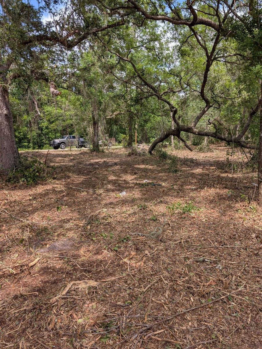 Nicely wooded 6.05 acres, partially cleared. In area of nice homes on a paved road. Zoned A-1 which allows site built or mobile homes.
**Next to 11106 NE 220th St on the left side and next to 11200 NE 220th St on the right side***