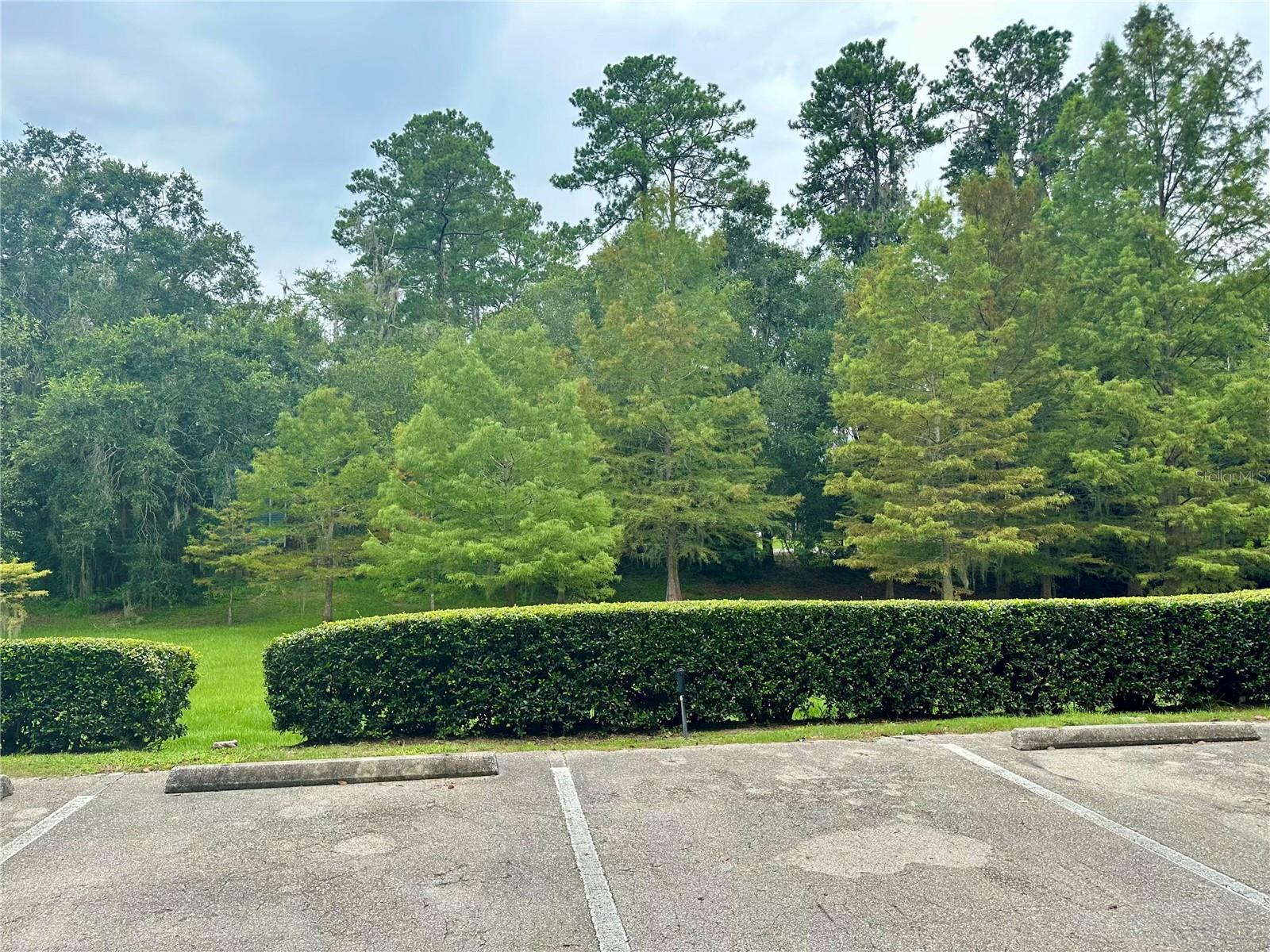 COUNTRYSIDE UNIVERSITY - Residential