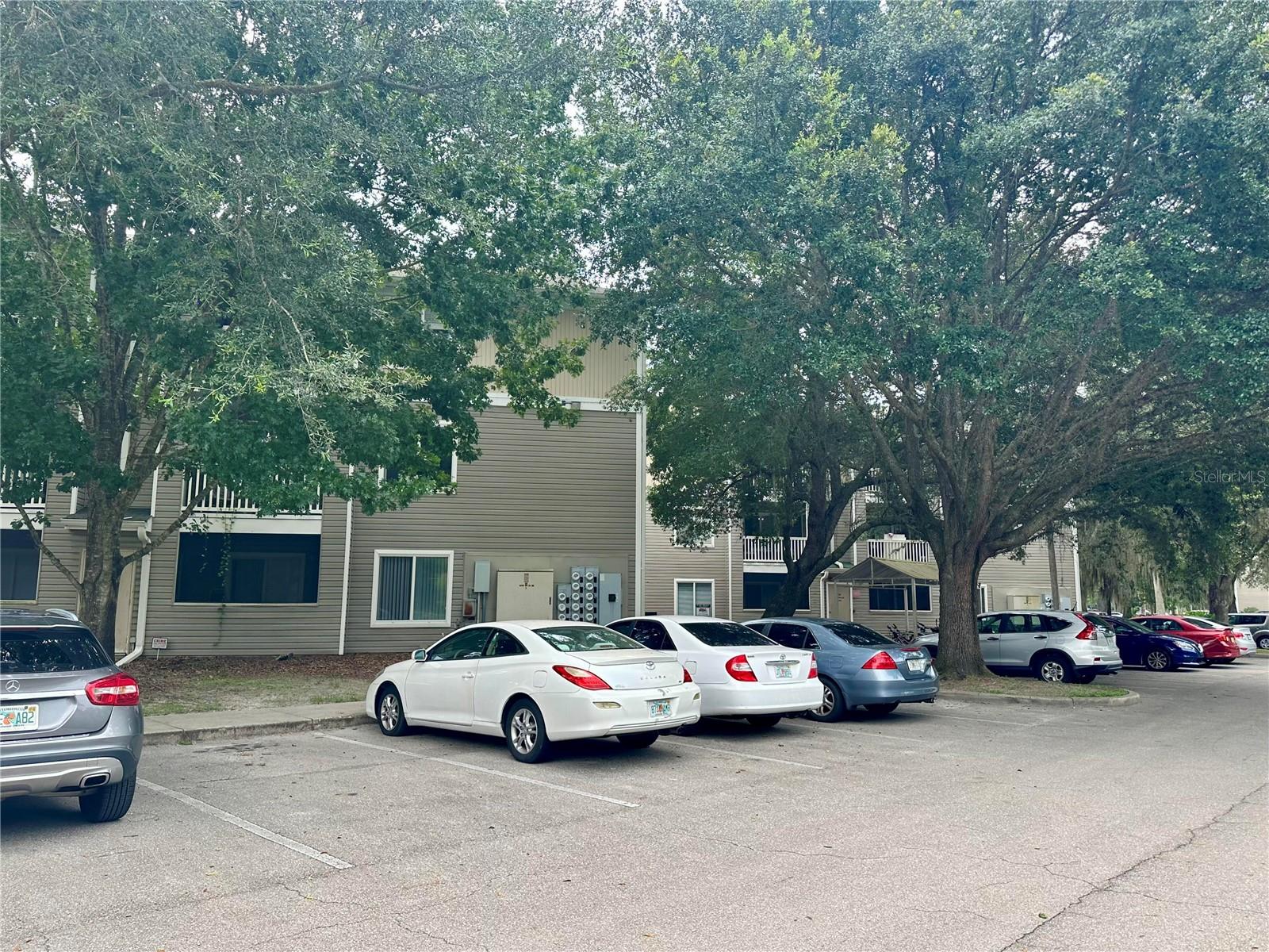COUNTRYSIDE UNIVERSITY - Residential