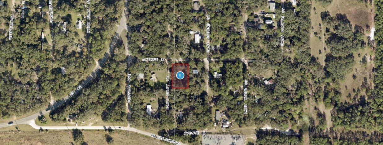Presenting a 0.45-acre vacant  lot at 25040 E Avenue B in Paisley, Florida (32767). "Zoning: R-7" This charming parcel offers a peaceful setting perfect for building a custom  investment property. With ample space for a yard, garden, or outdoor living, it provides flexibility and room to design your ideal  environment. —an excellent opportunity for  investors looking in Central Florida.Note: buyers I emphasize the importance of conducting thorough due diligence to ensure that the property meets your expectations and requirements.