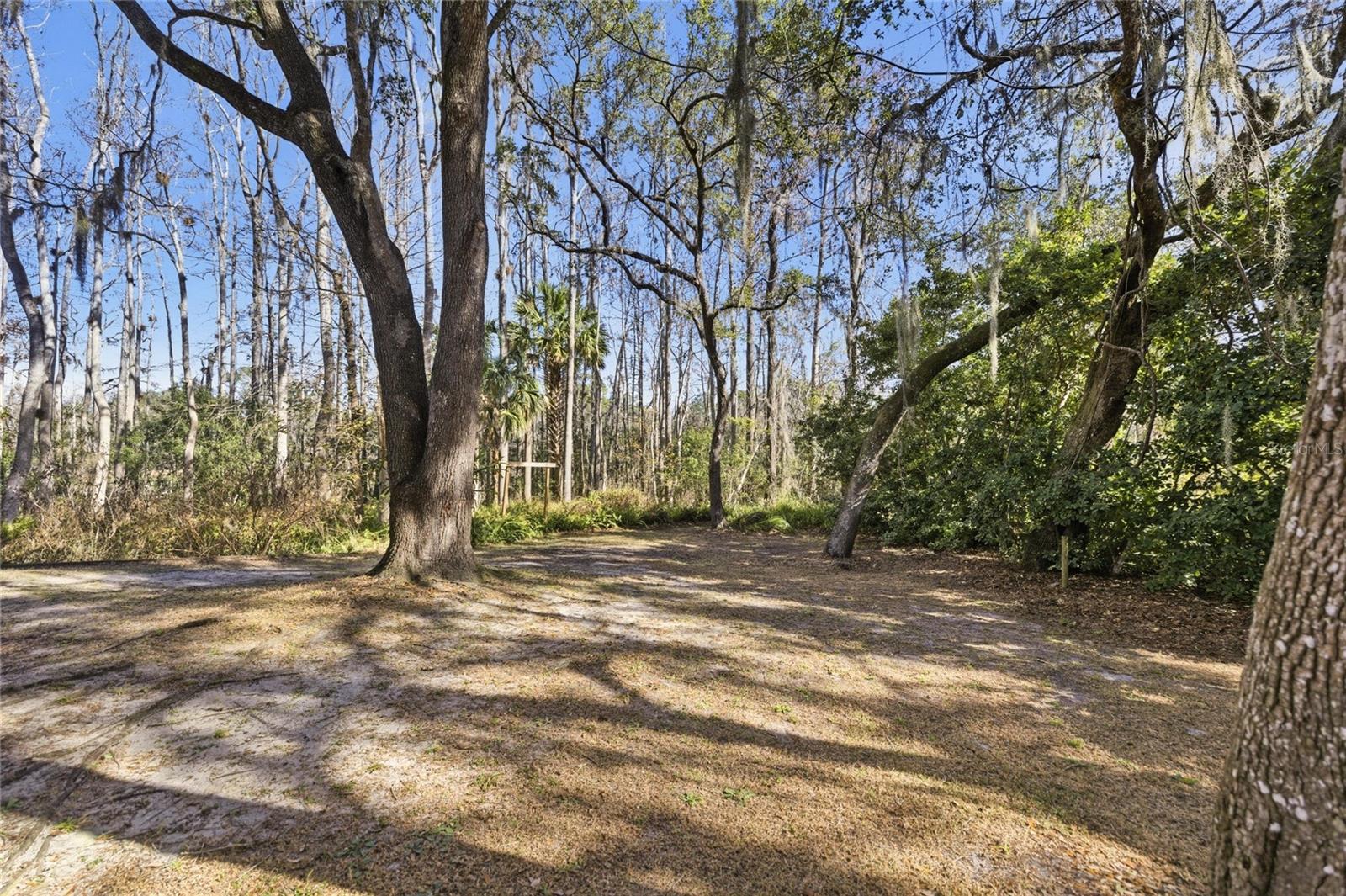 SILVER SPRINGS SHORES - Residential