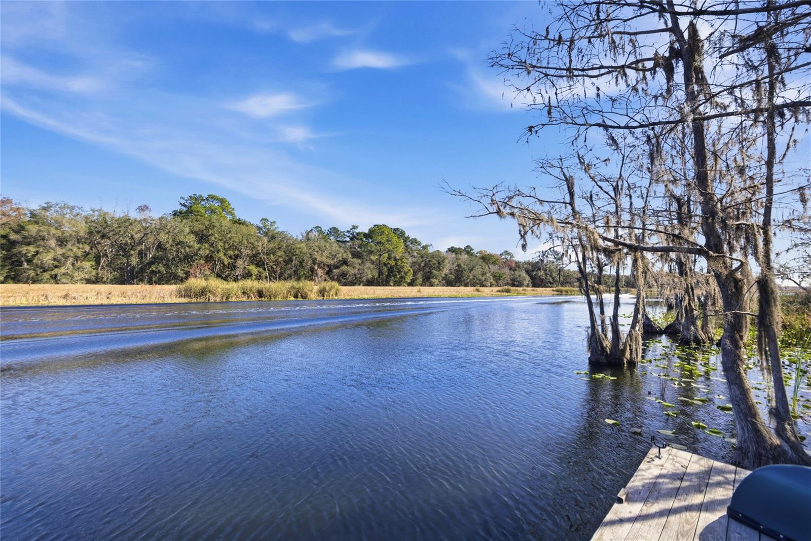 SILVER SPRINGS SHORES - Residential