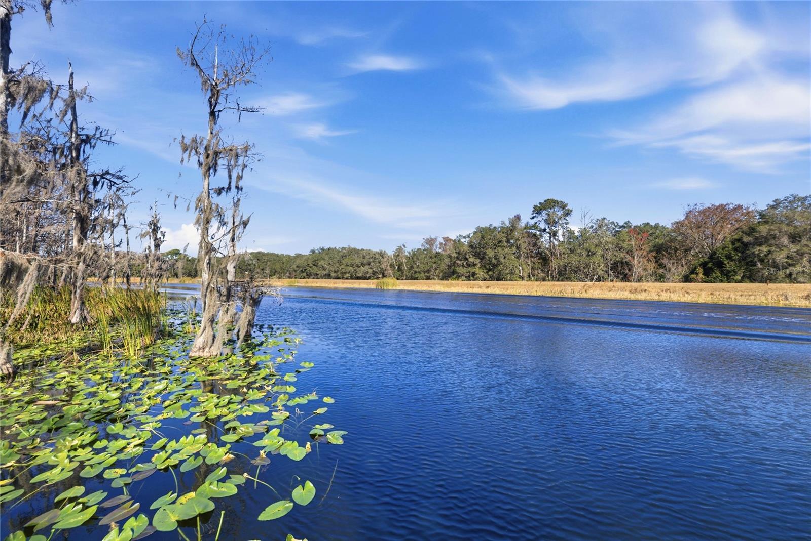 SILVER SPRINGS SHORES - Residential
