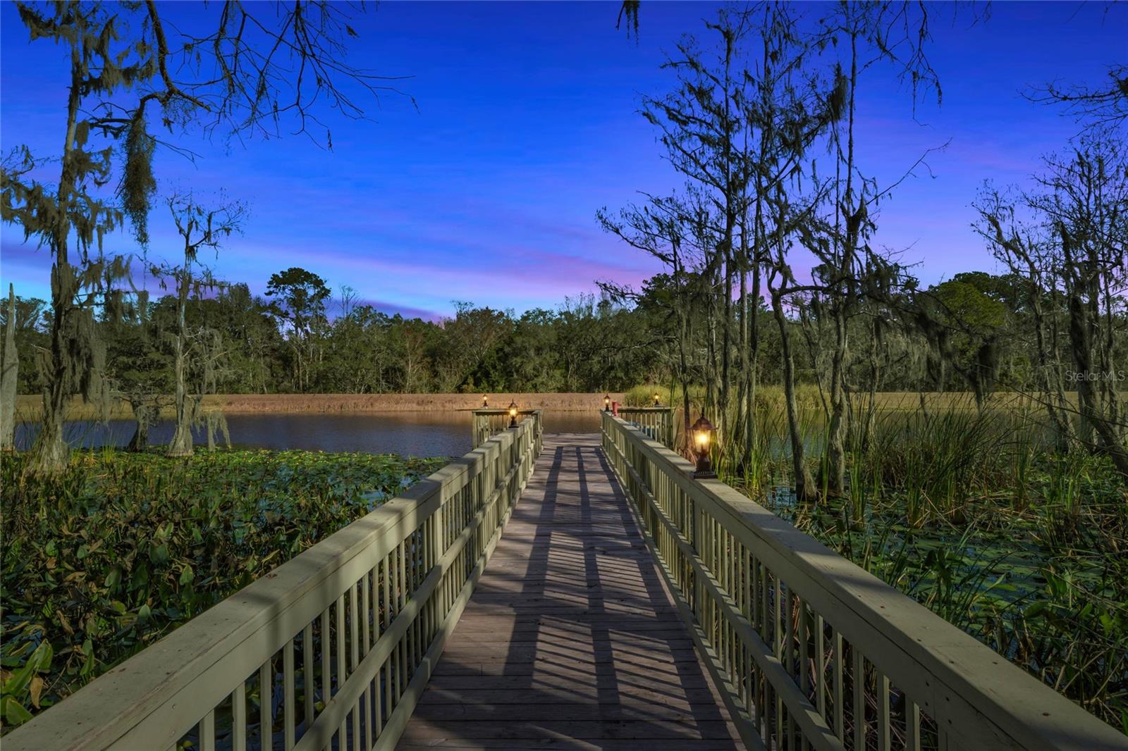SILVER SPRINGS SHORES - Residential