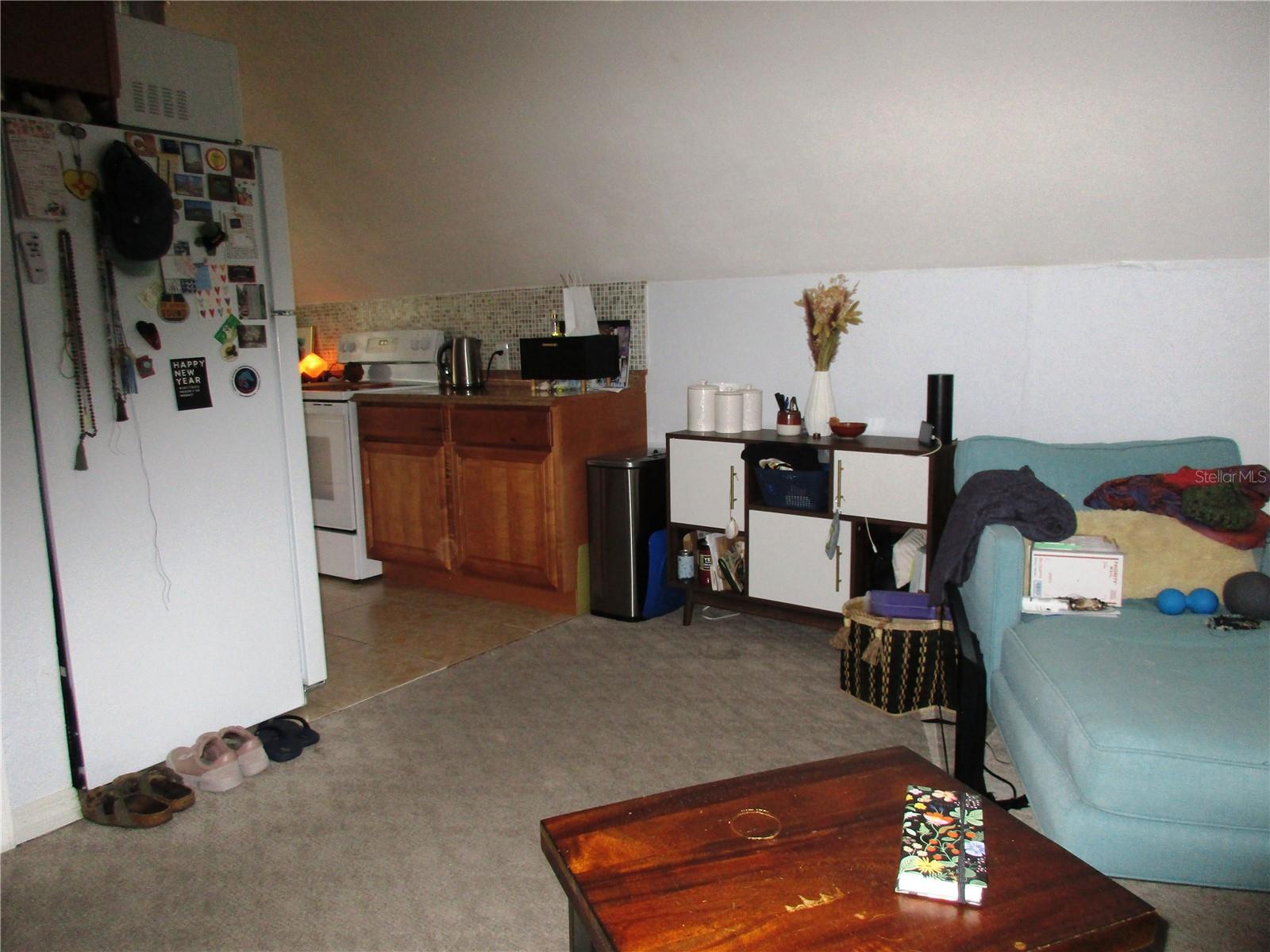 SARASOTA BEACH - Residential Income