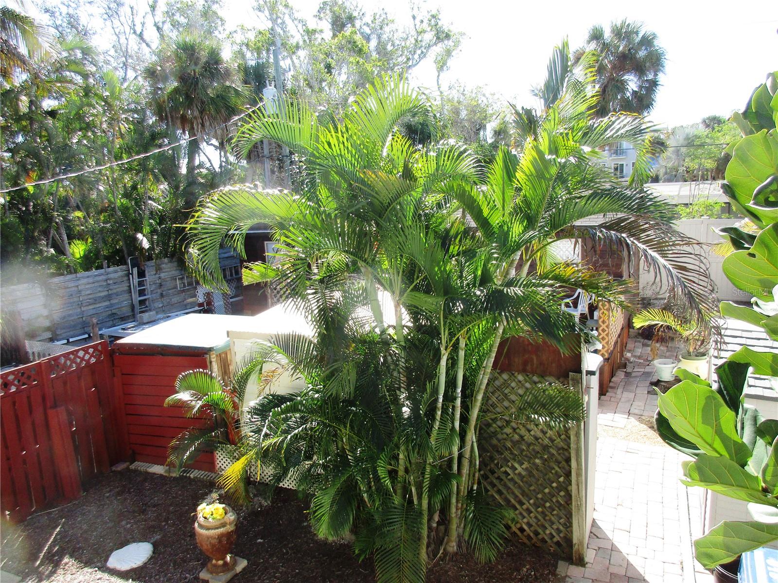 SARASOTA BEACH - Residential Income