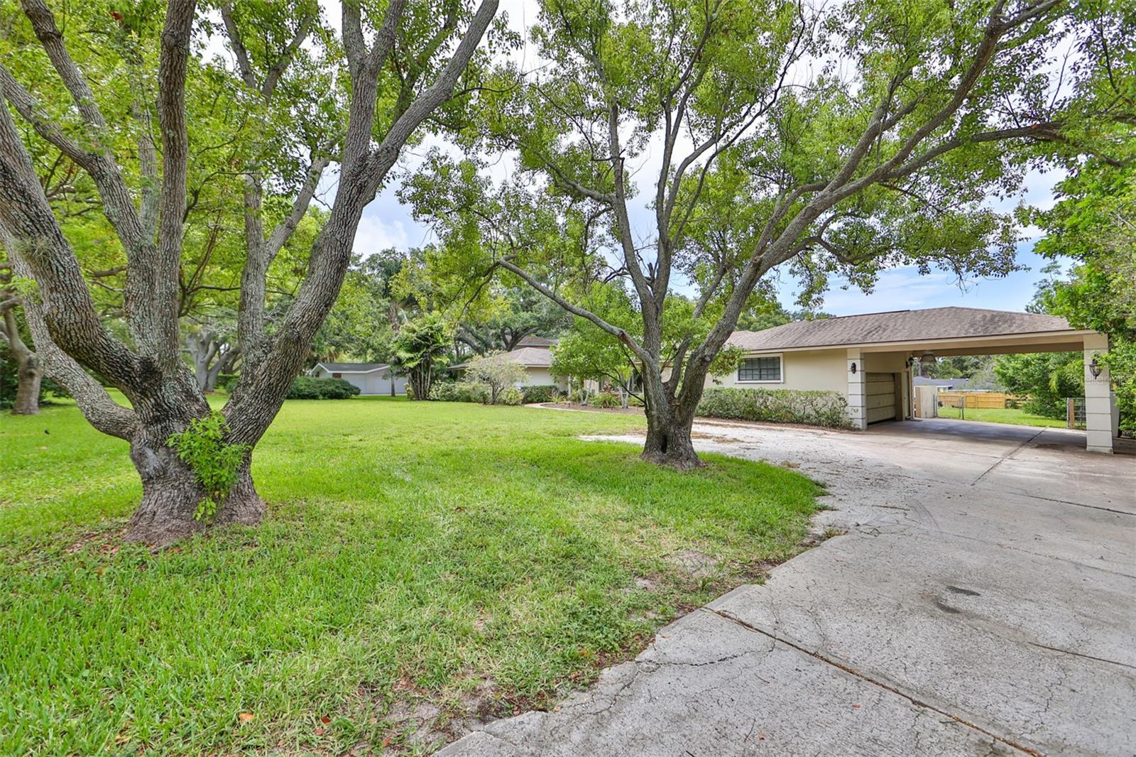 PINELLAS GROVES - Residential