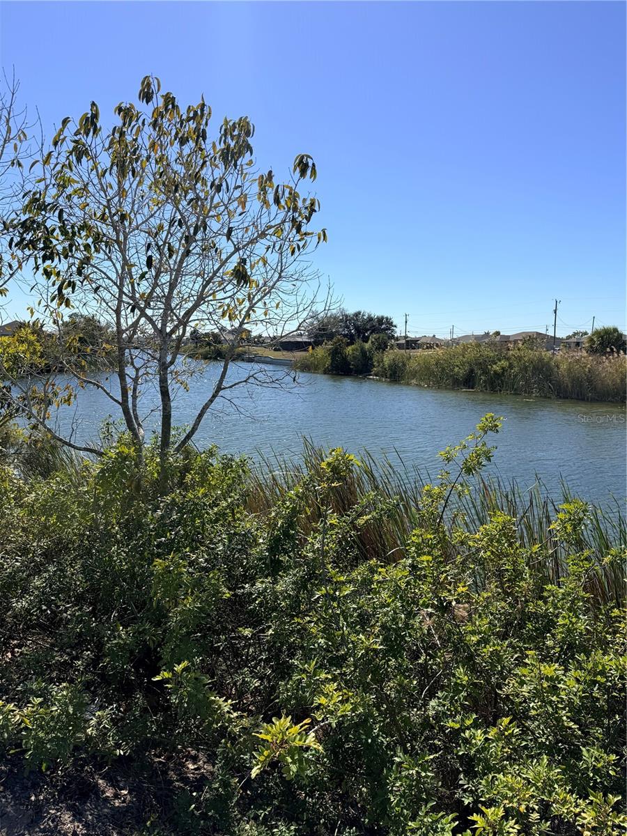 CAPE CORAL - Land