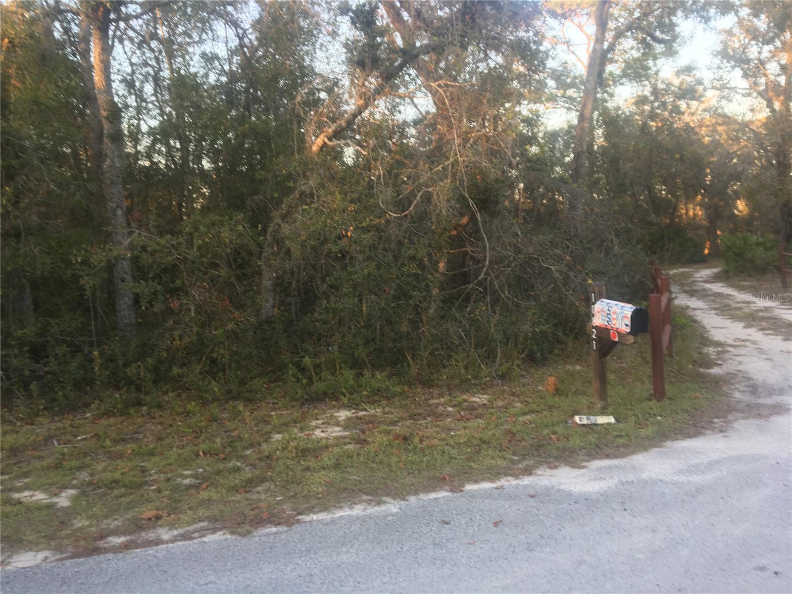 Rare opportunity to build your dream home or place a manufactured home on 1.56 acres in a private, peaceful cul-de-sac in Hudson, FL. Backs to a lake with dock potential and great fishing. Power nearby, no HOA, no CDD. Animals may be allowed — buyer to verify. Seller has no information on the property and will not provide inspections or reports. Ideally situated with no rear neighbors for true privacy and a stunning natural backdrop.
Set near Kim Lane and Tami Trail, you're still close to shopping, dining, and services along SR-52 and US-19. Outdoor lovers will appreciate quick access to Jay B. Starkey Wilderness Park, Serenova, Crews Lake Wilderness Park, and the Suncoast Trail — hiking, biking, equestrian trails, and wide-open weekends await. The perfect canvas for buyers or builders ready to create something special. All information to be verified by buyer.