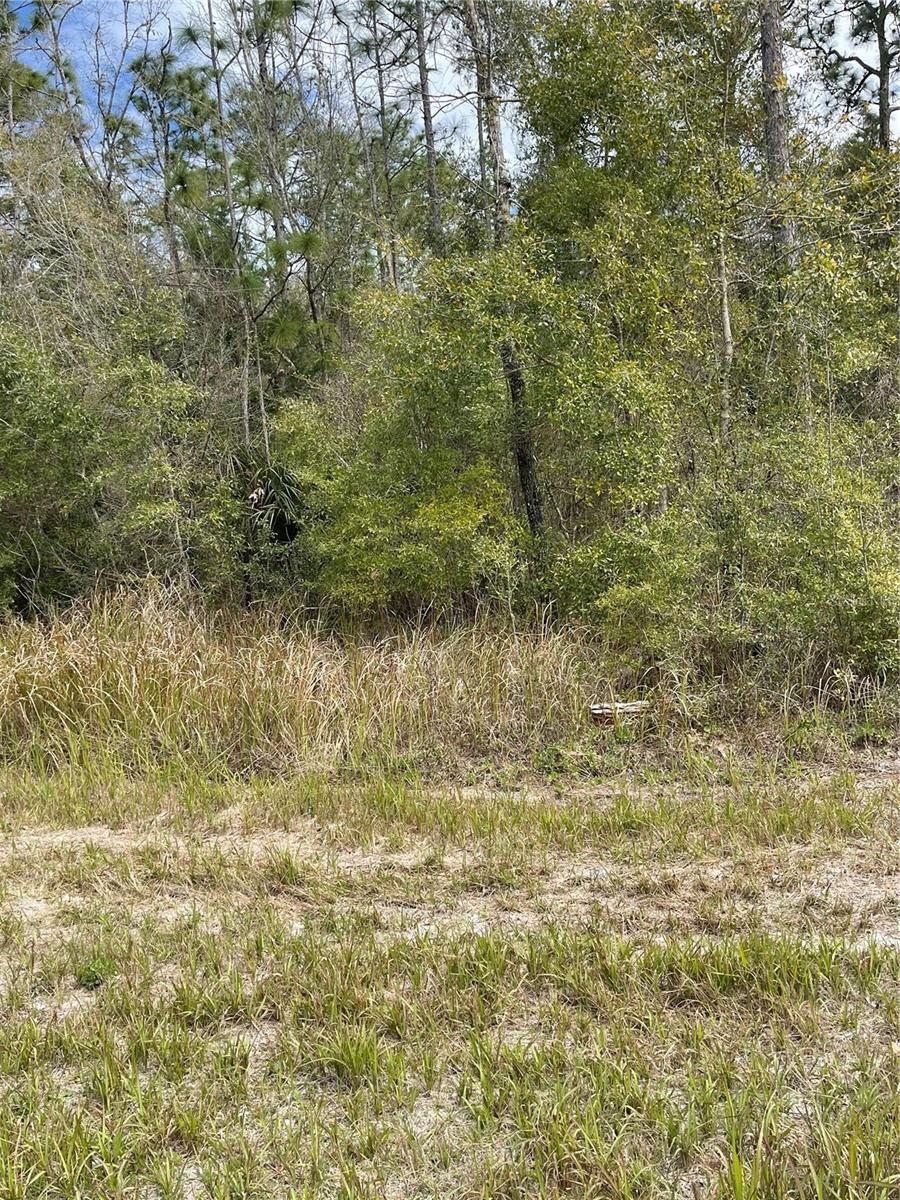 NOW AVAILABLE 8 ACRES (348480 LOT SQ FT); PROPERTY IS IN FLOOD ZONE X, SO ACREAGE IS NOT IN A FLOOD HAZARD ZONE! TWO COMMERCIAL WELLS ON PROPERTY AS THIS ACREAGE WAS A BLUEBERRY FARM, AND IS CURRENTLY ZONED AR1-SINGLE FAMILY HOMES. 
ACREAGE IS NEAR HUDSON AVE AND PIGEON RD IN HUDSON.