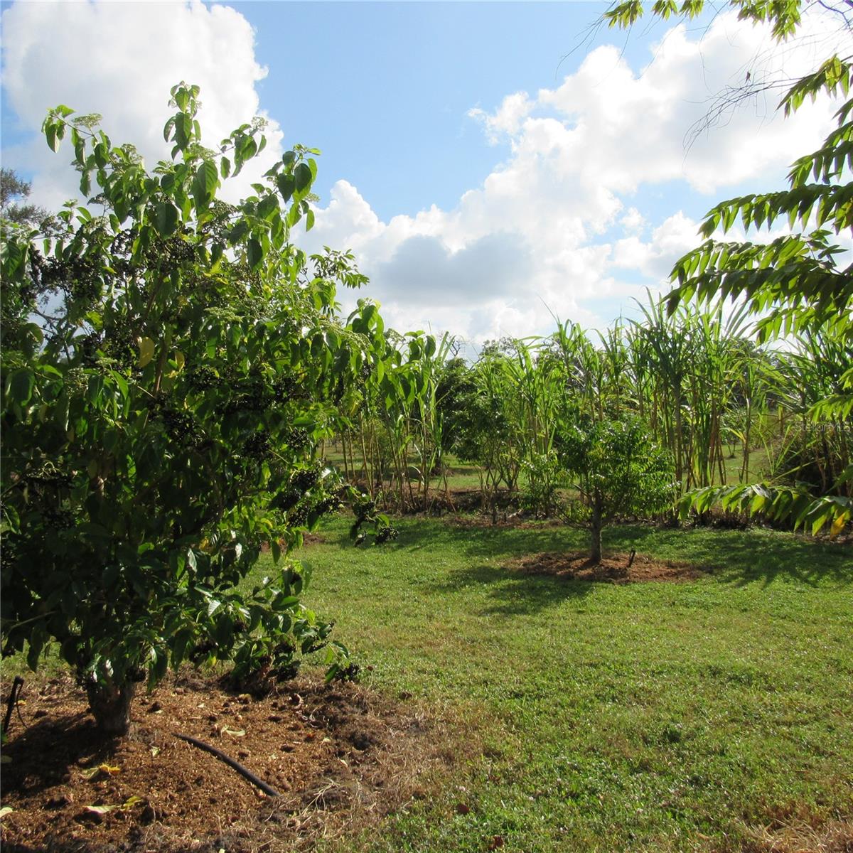 ACREAGE - Land