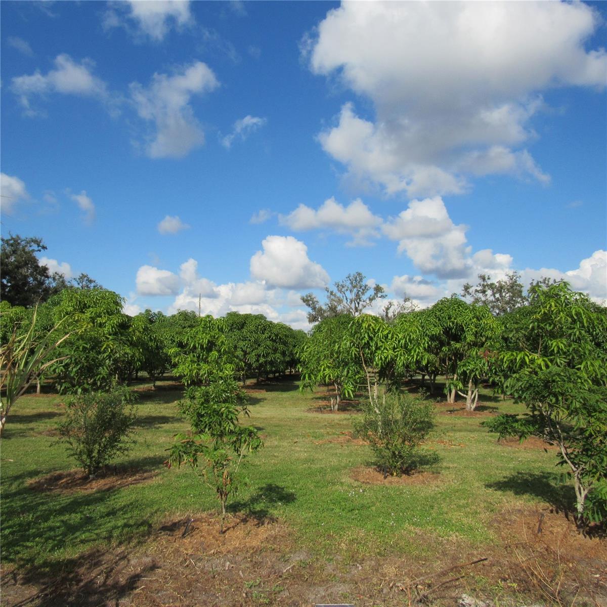ACREAGE - Land