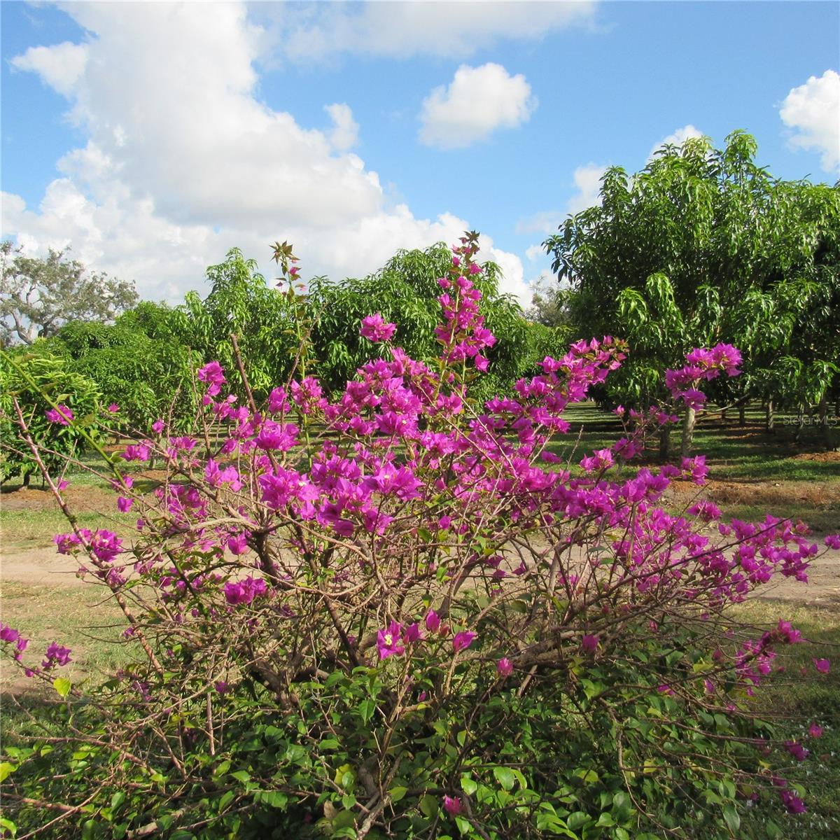 ACREAGE - Land
