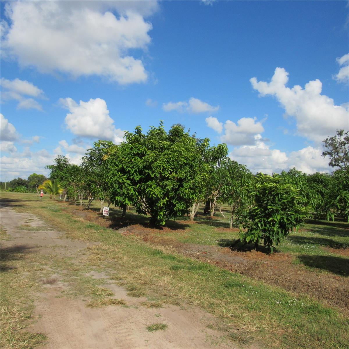 ACREAGE - Land