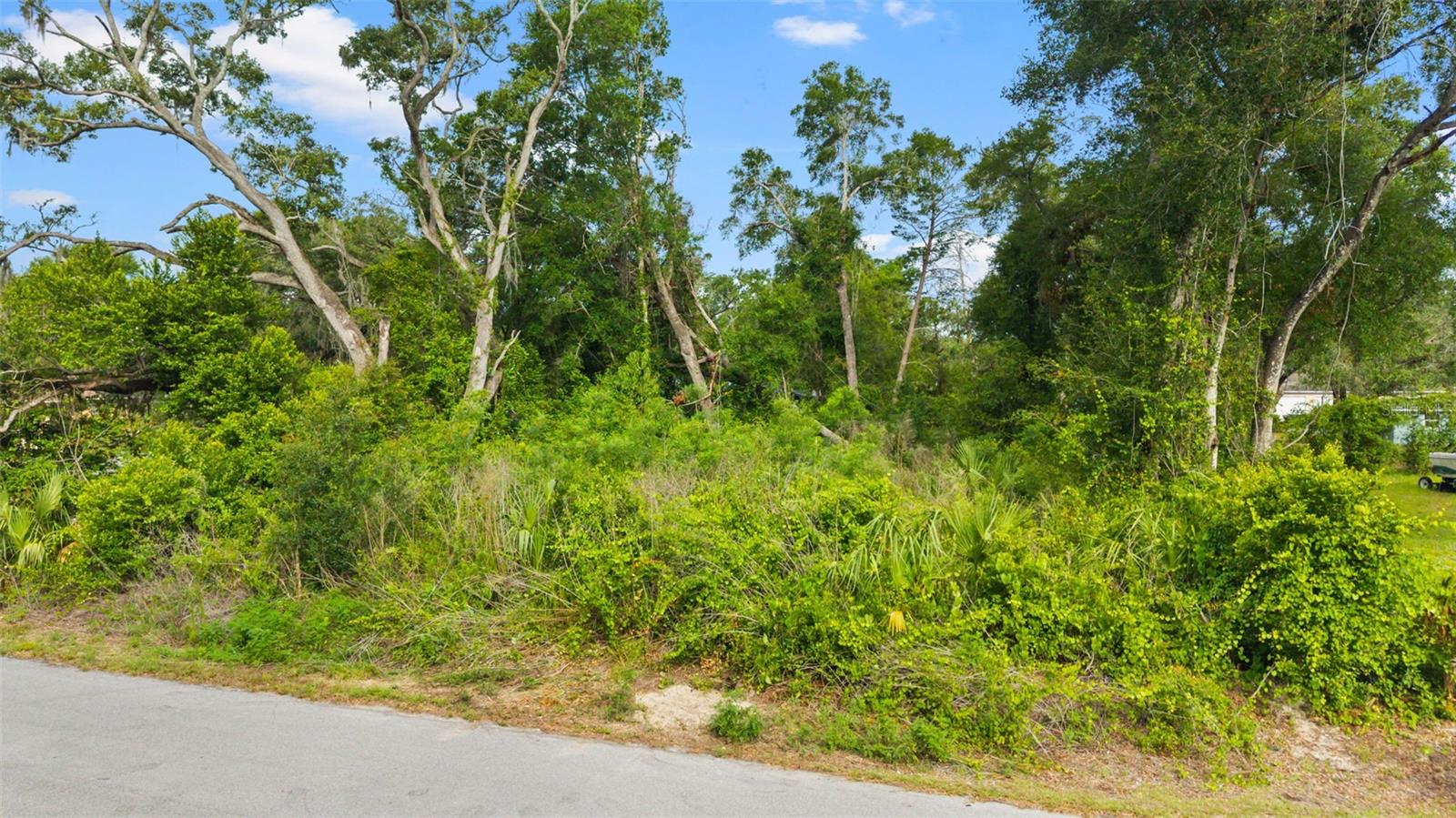 PASCO LAKES ESTATES - Land