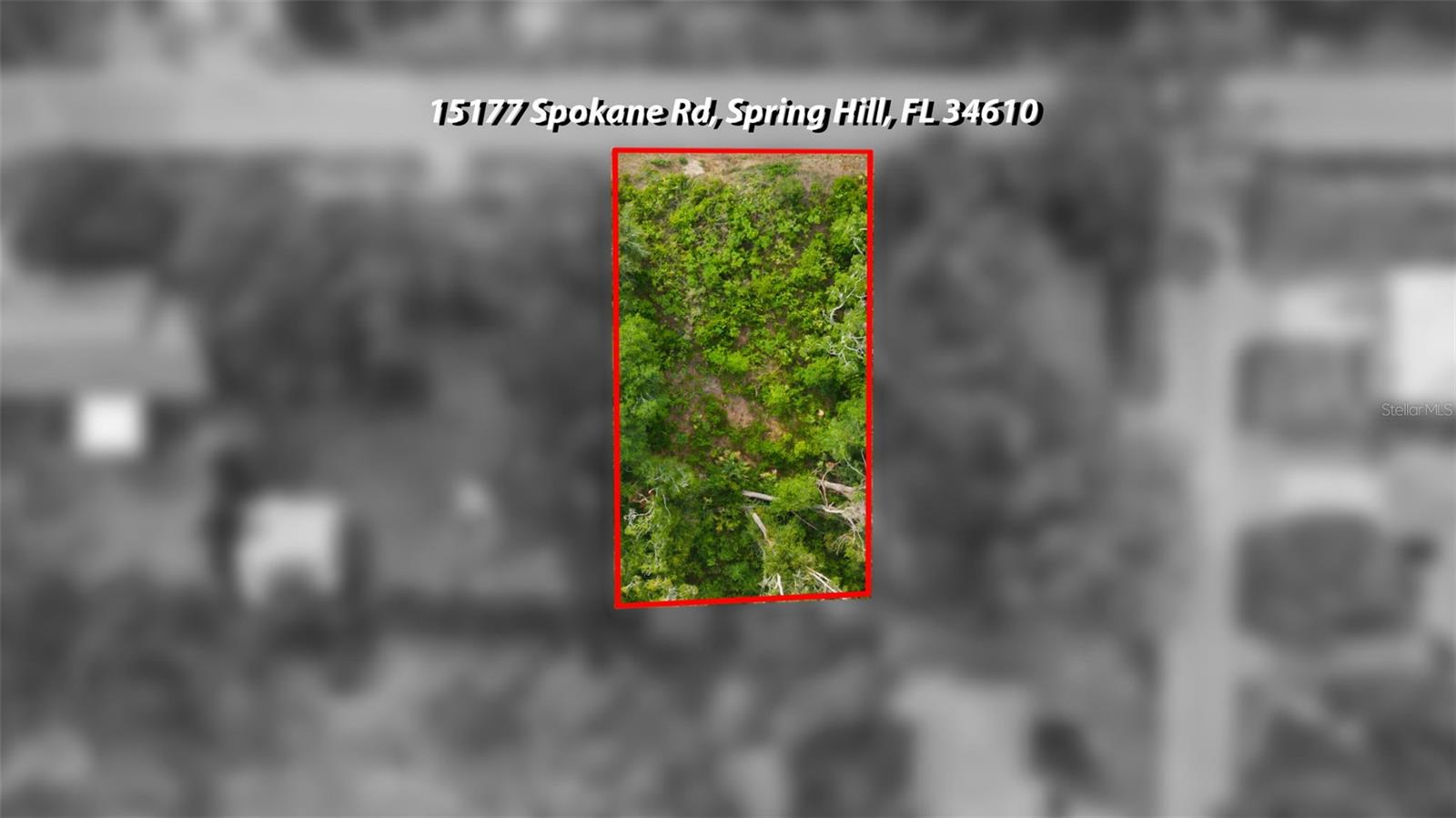 PASCO LAKES ESTATES - Land