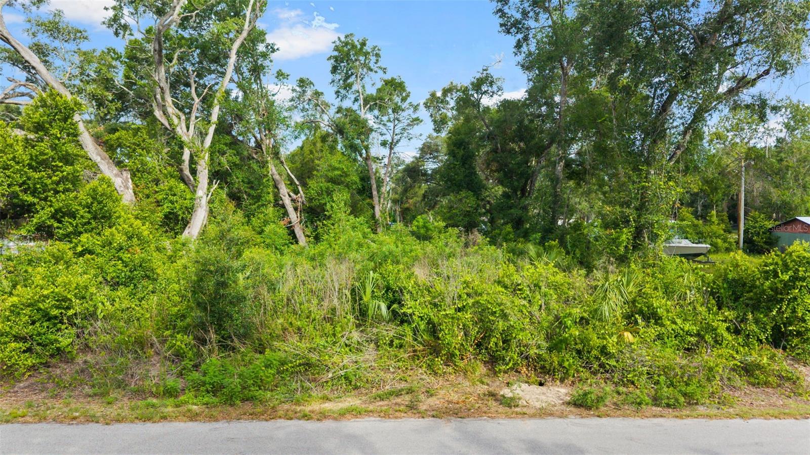 PASCO LAKES ESTATES - Land
