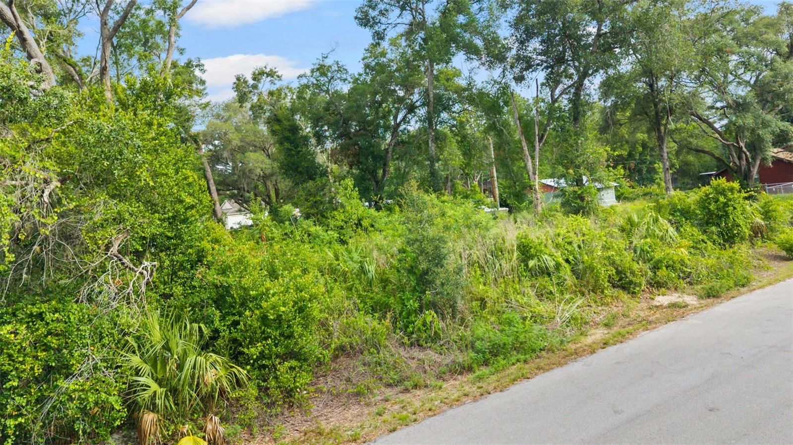 PASCO LAKES ESTATES - Land