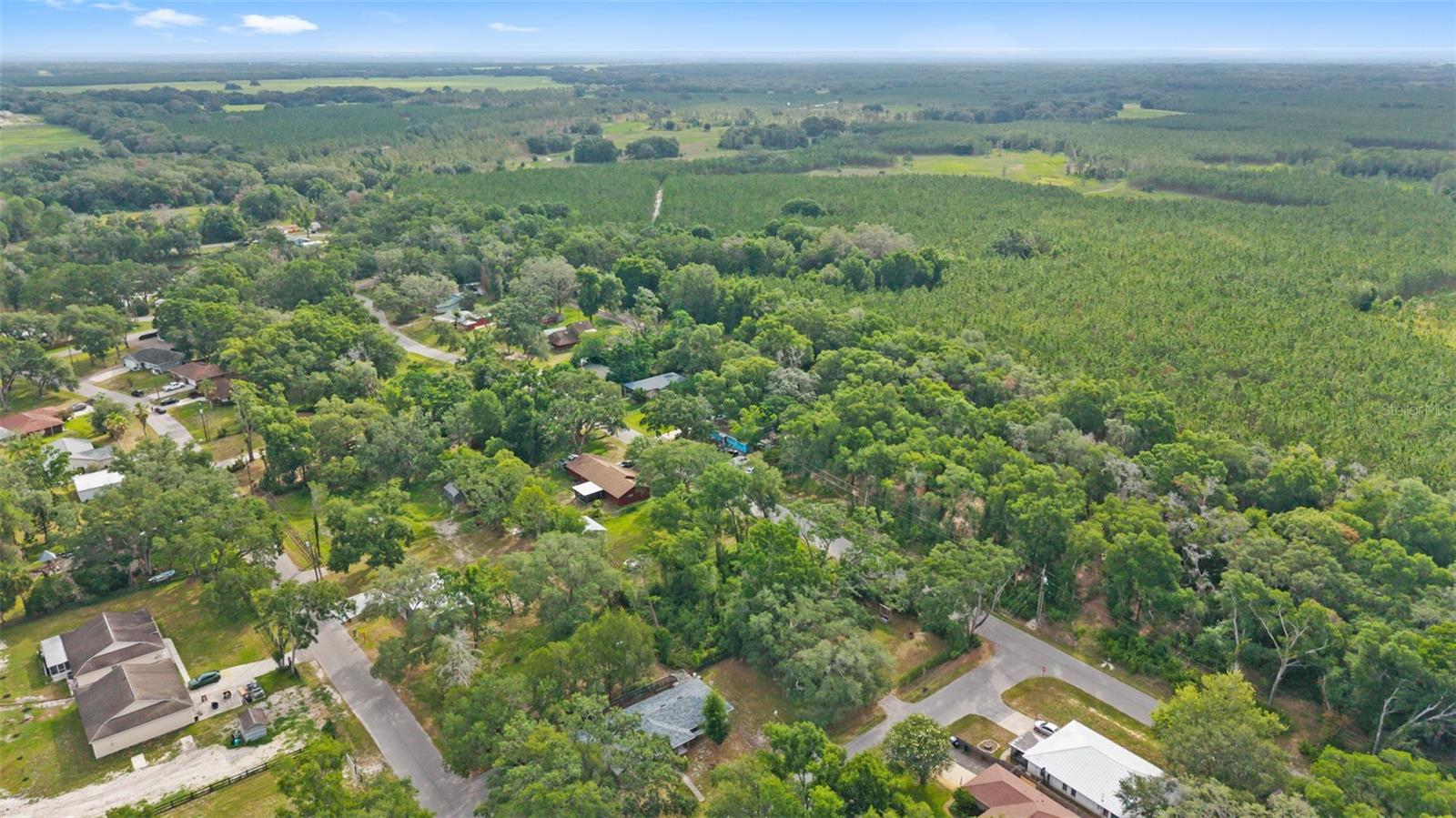 PASCO LAKES ESTATES - Land