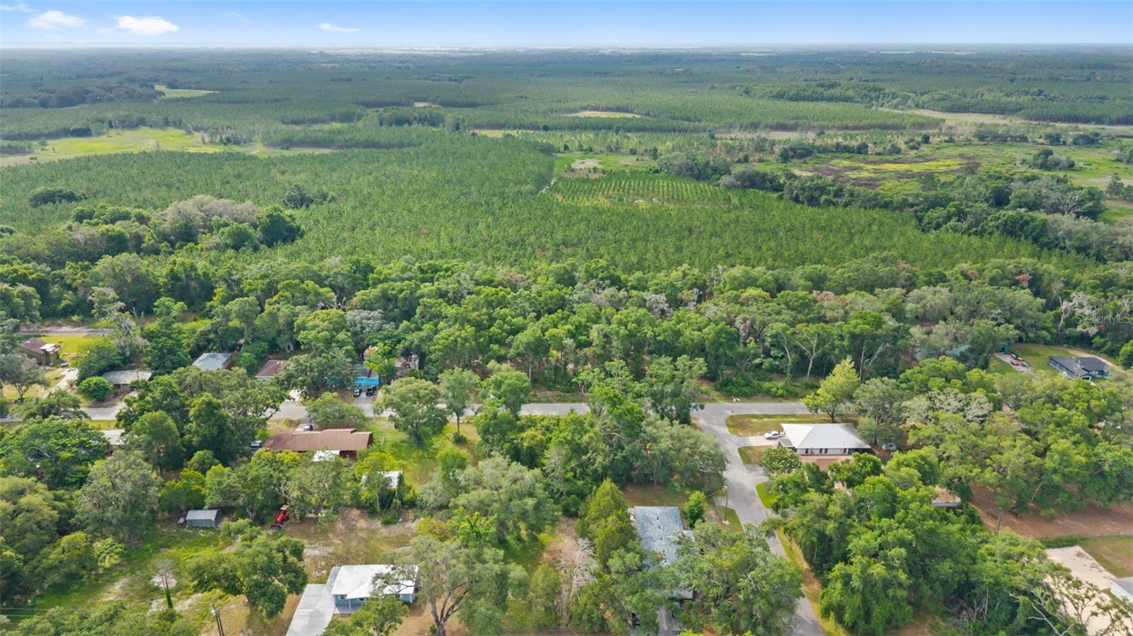 PASCO LAKES ESTATES - Land