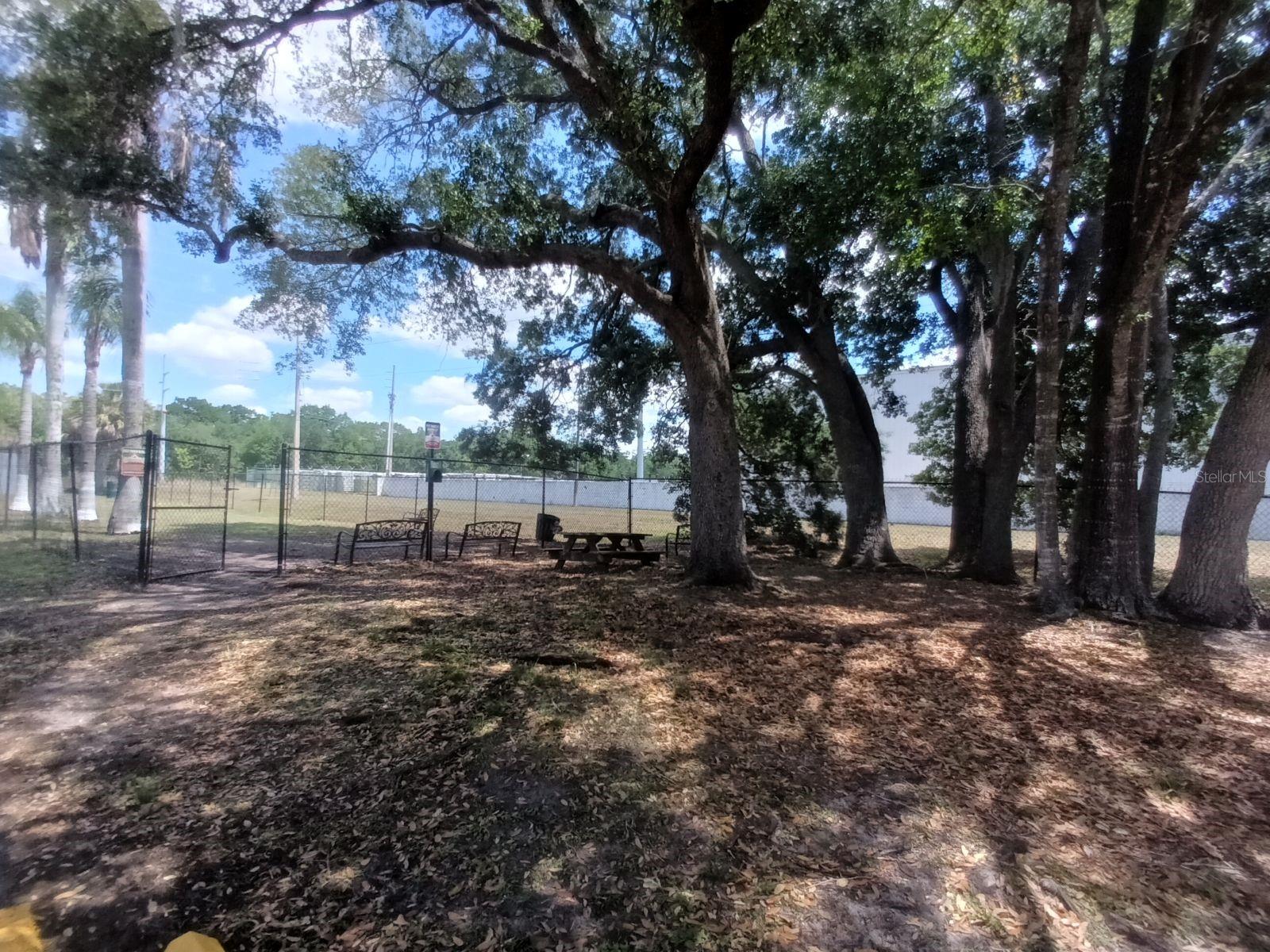 PALMAS ALTAS - Residential Lease