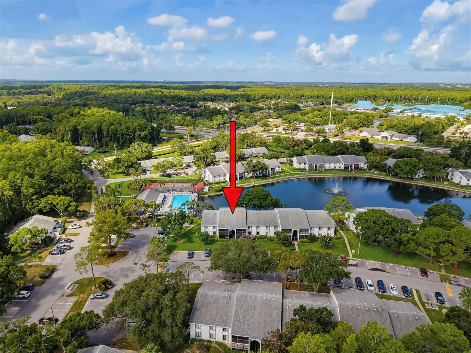 PINE RIDGE AT LAKE TARPON VILLAGE - Residential