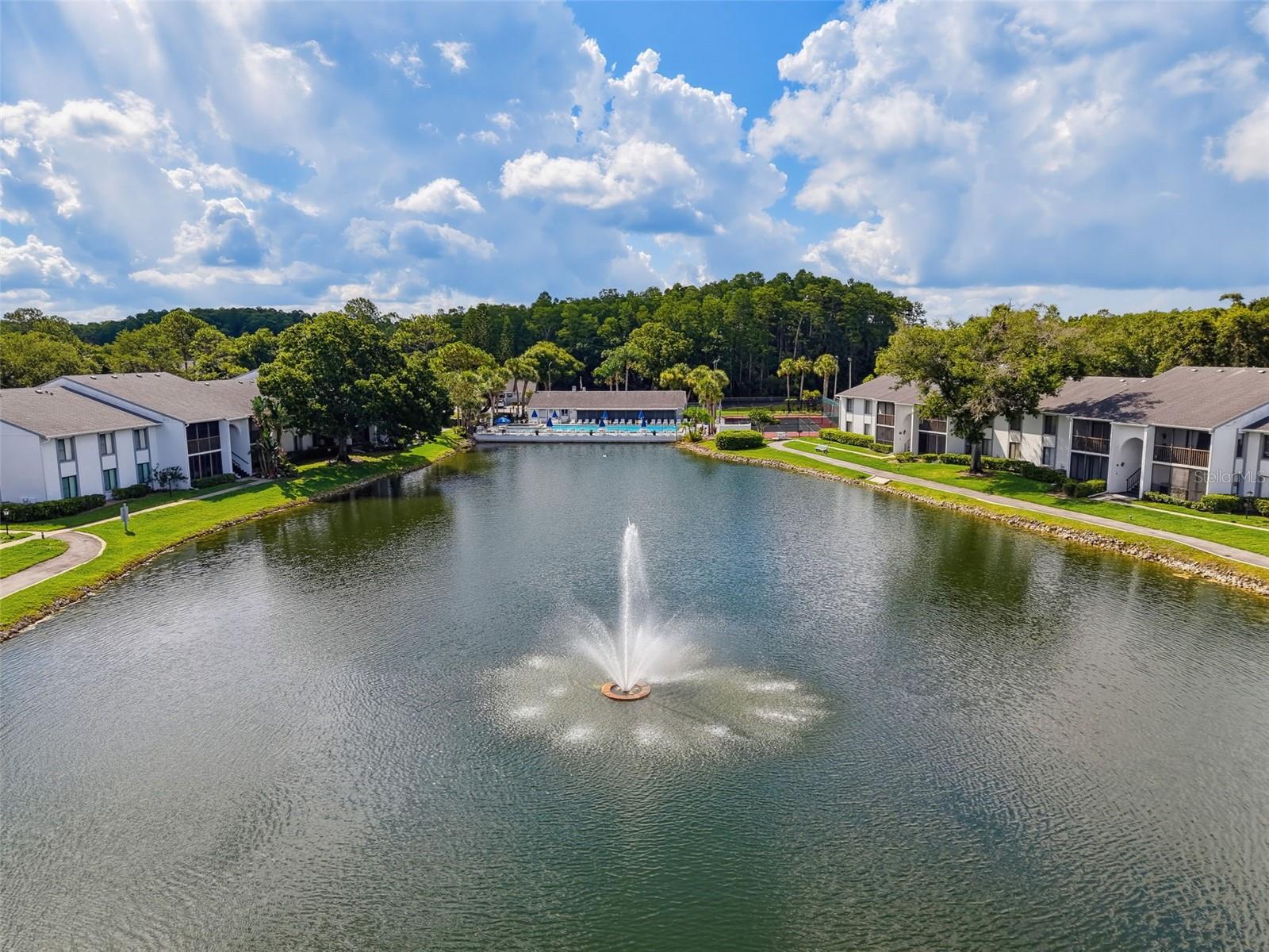 PINE RIDGE AT LAKE TARPON VILLAGE - Residential