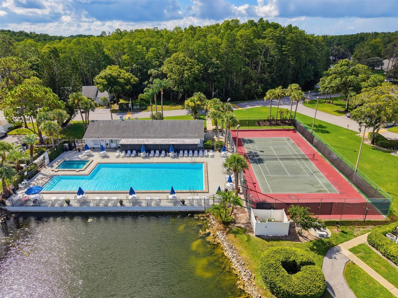 PINE RIDGE AT LAKE TARPON VILLAGE - Residential