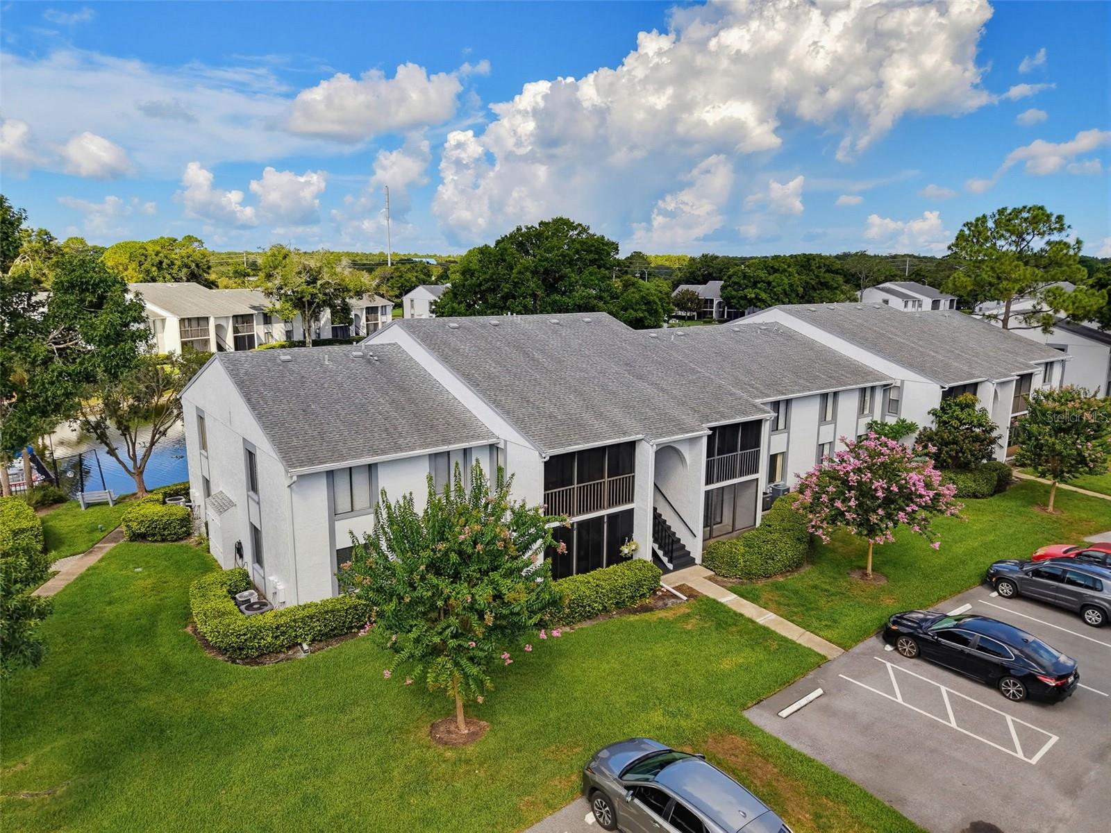 PINE RIDGE AT LAKE TARPON VILLAGE - Residential