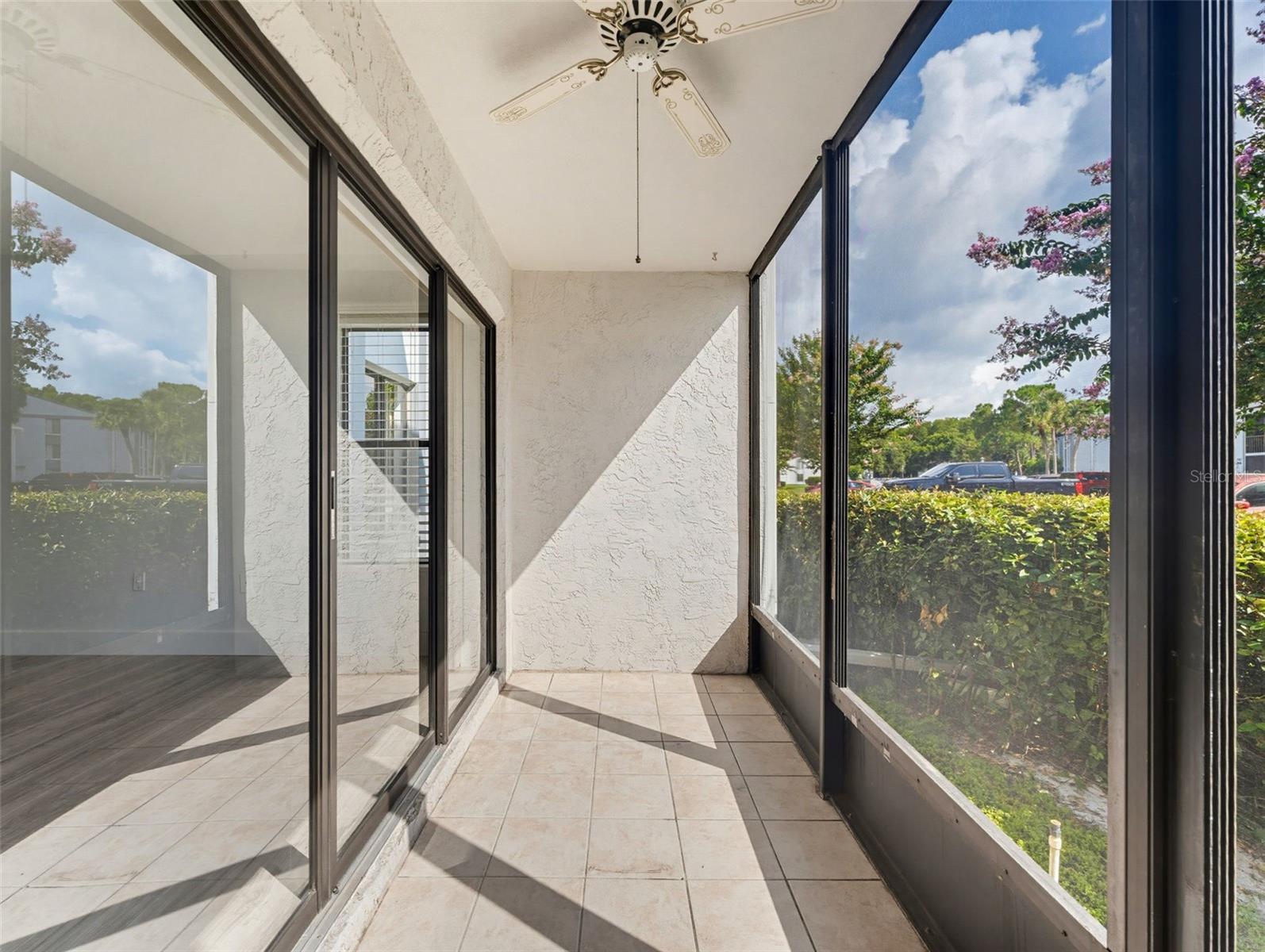 PINE RIDGE AT LAKE TARPON VILLAGE - Residential