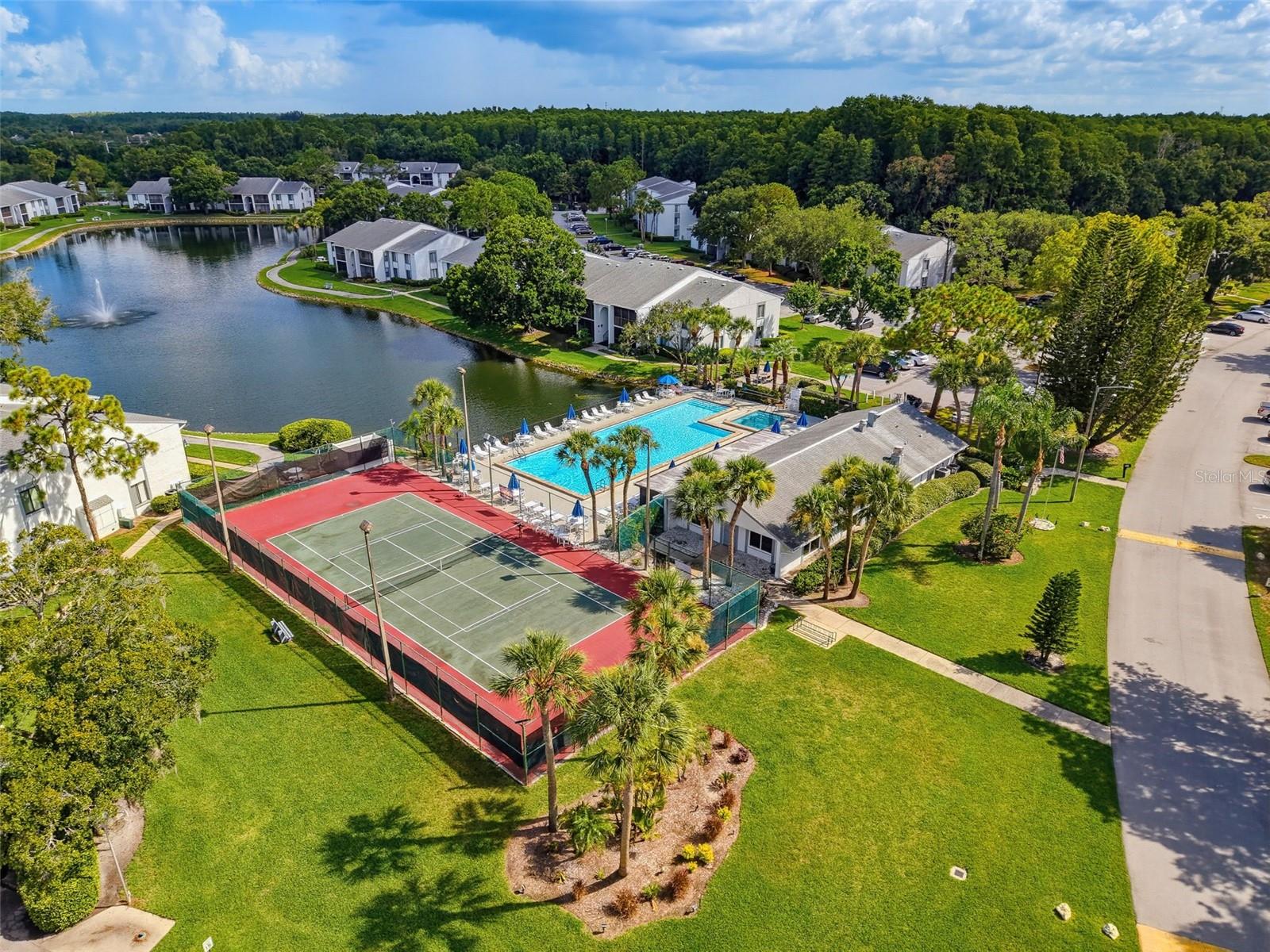 PINE RIDGE AT LAKE TARPON VILLAGE - Residential