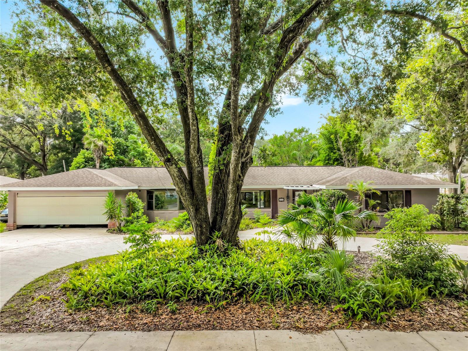 LAKE FRANKLIN PARK - Residential