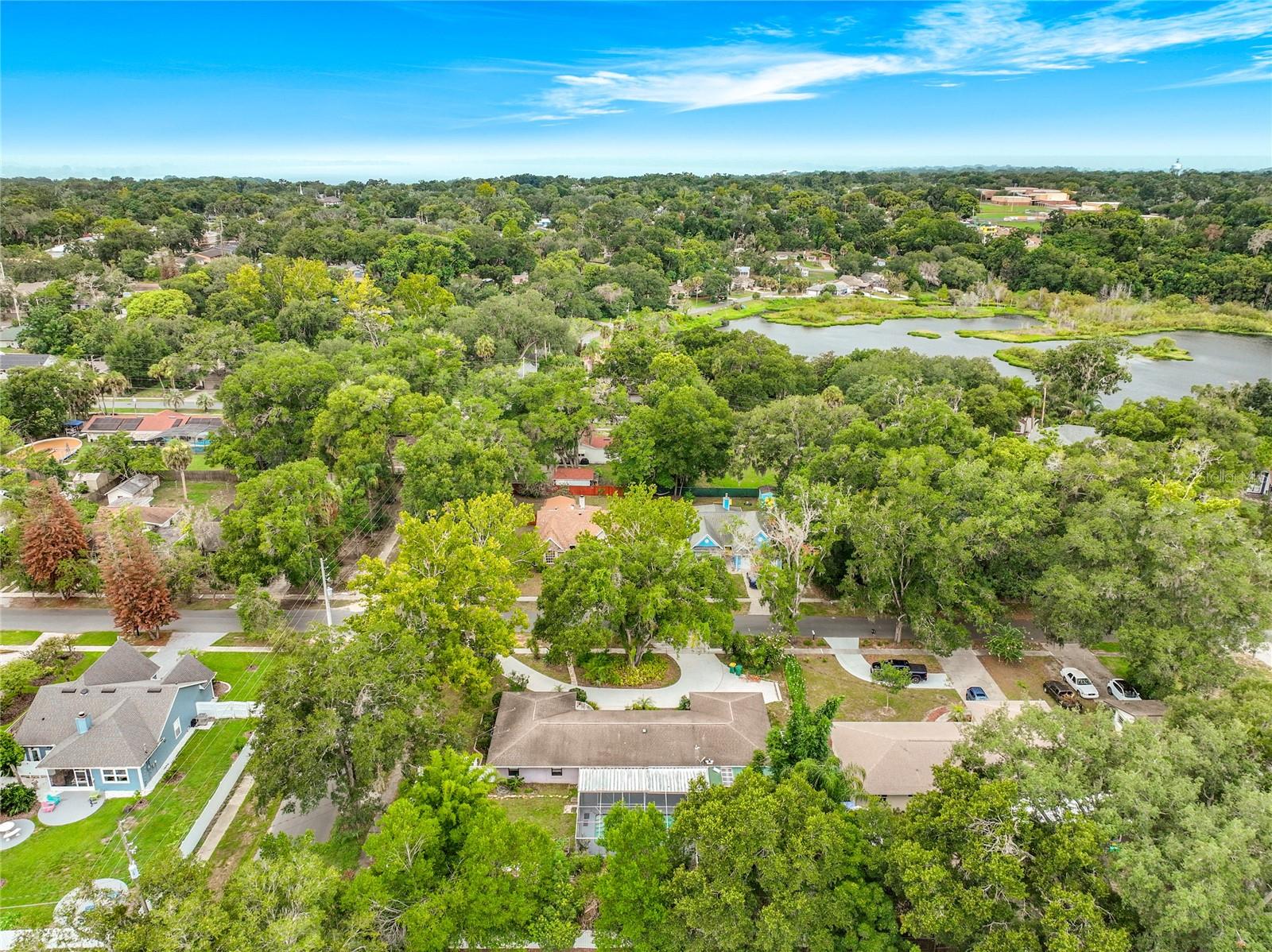 LAKE FRANKLIN PARK - Residential