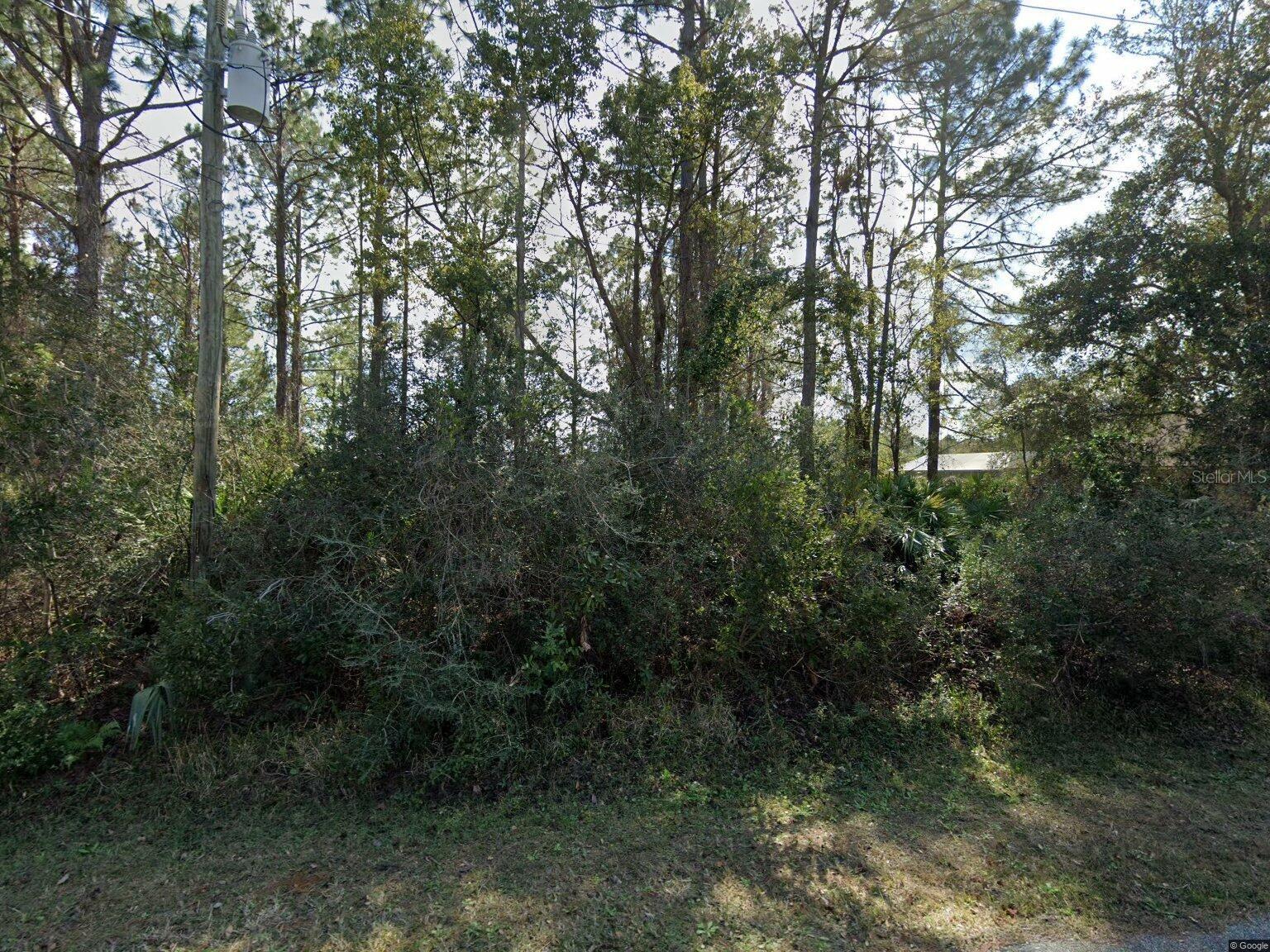 Beautiful property  to build your Dream home, close to Flagler Beach ,Shopping areas , Hospital, and Restaurants,  I-95 and US-1